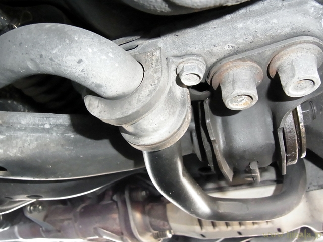 フロントスタビライザーブッシュ