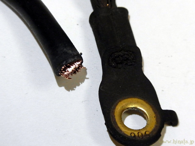 被覆内部の様子