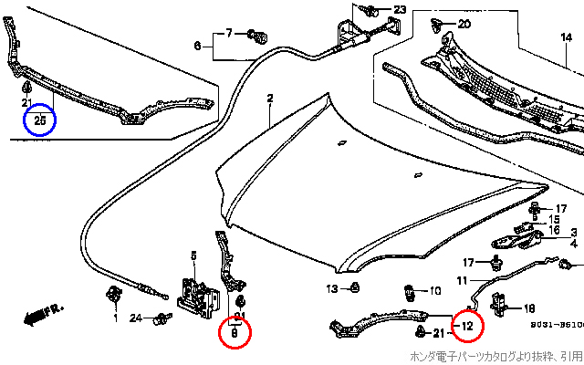 左右のシールラバー