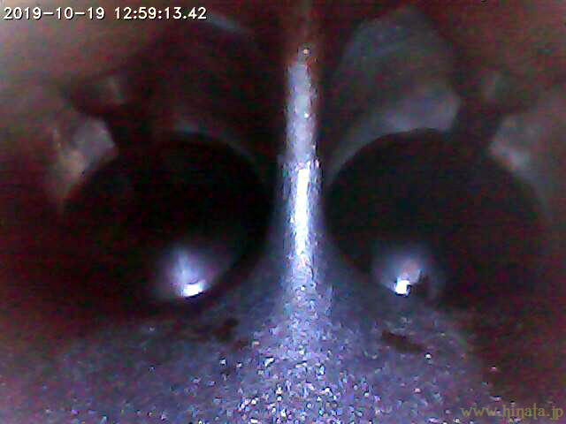 分岐部分からチェック