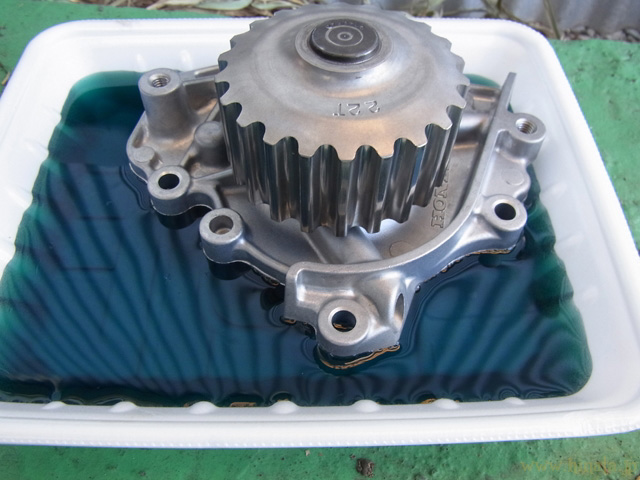 ウォーターポンプの漬け込み