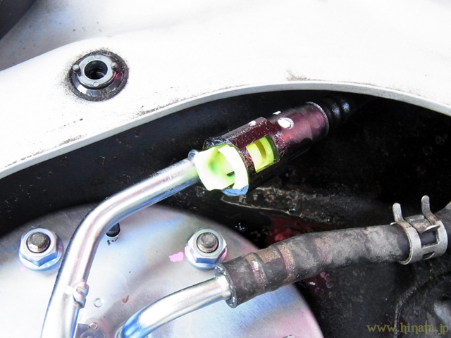 新しいリテーナを装着したところ