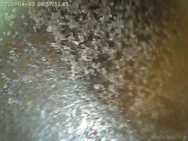 アルミの輝きだけが見えた3番ピストン