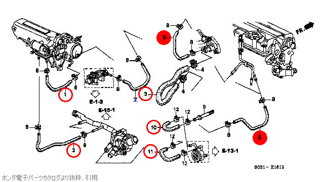 エンジン周辺のウォーターホース