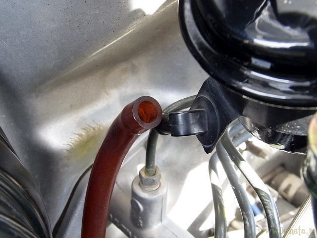 キャニスターチューブを外す