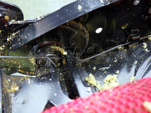 ワイヤーの破断箇所