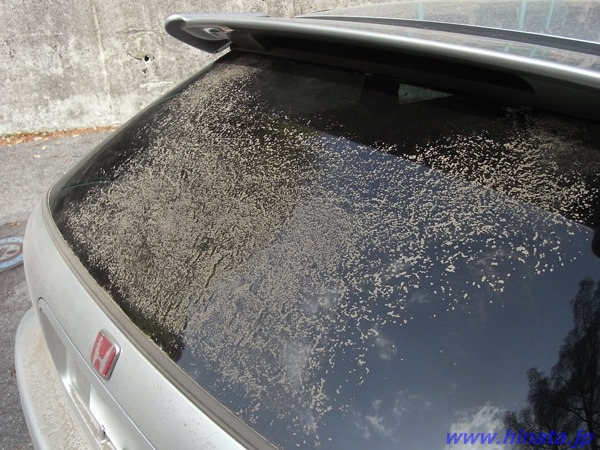 汚れたリアハッチ