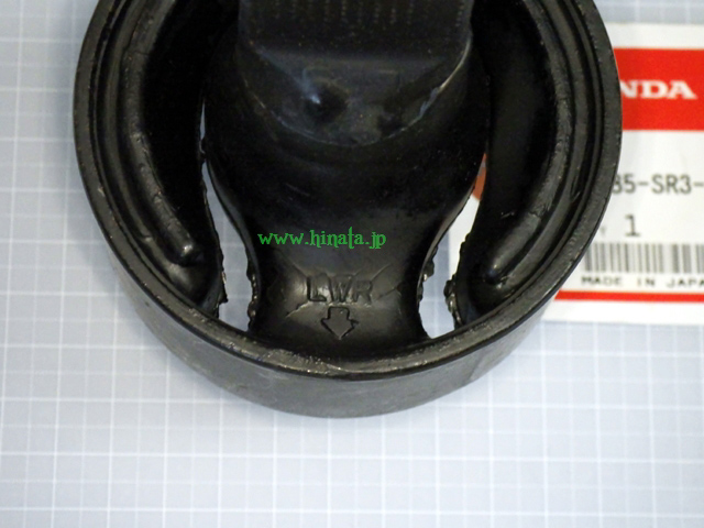 ブッシュのすぐり