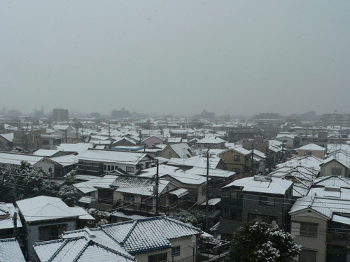 白くなった街中その1