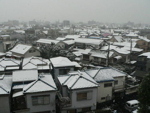 白くなった街中その2