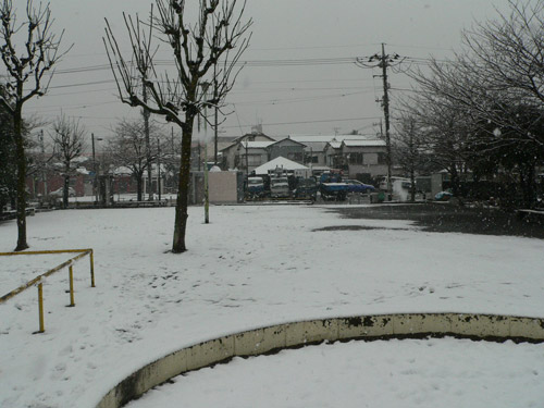 雪に覆われた公園