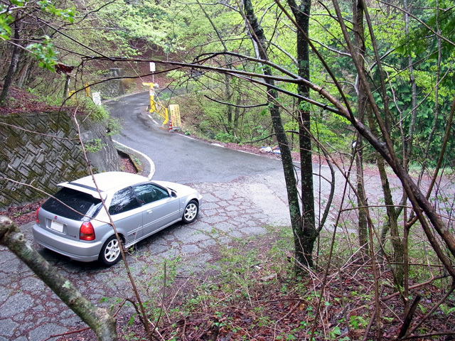 林道での丁字路は右へ