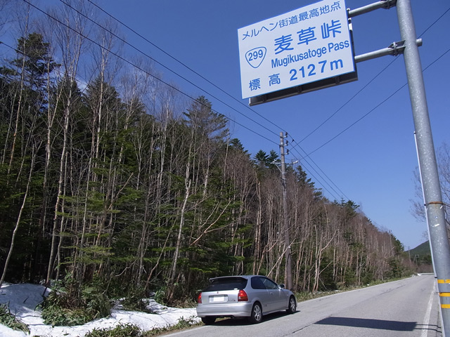 五月晴れの麦草峠