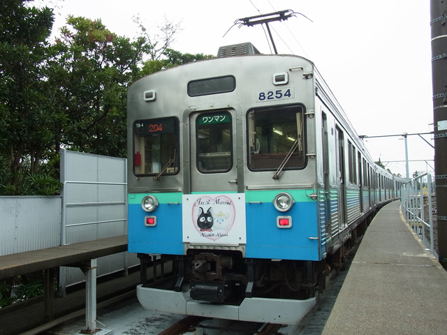 伊豆急8000系TB-4編成