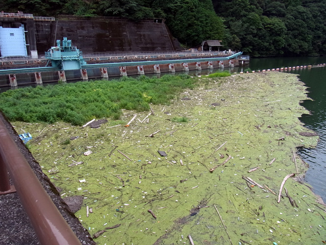 秋葉第一/第三発電所取水口