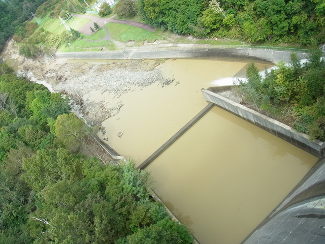 空知川の下流側