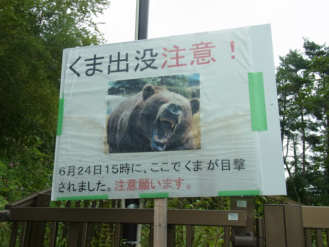 くま出没注意！
