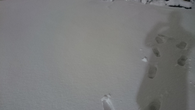 足を踏み入れる前に