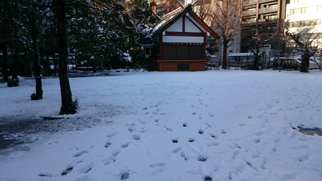神楽殿前の広場