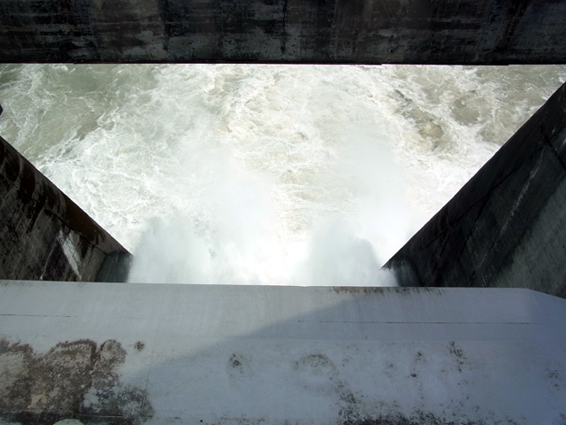 ゲート上より放流を観察