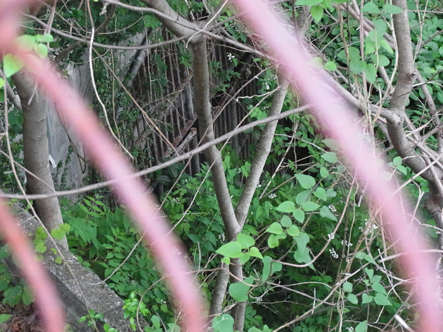 旧飯田線のトンネル跡