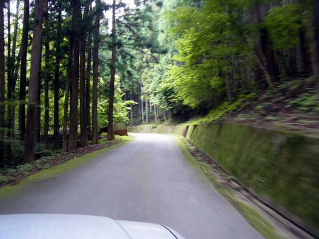 林道矢弓沢線内その1