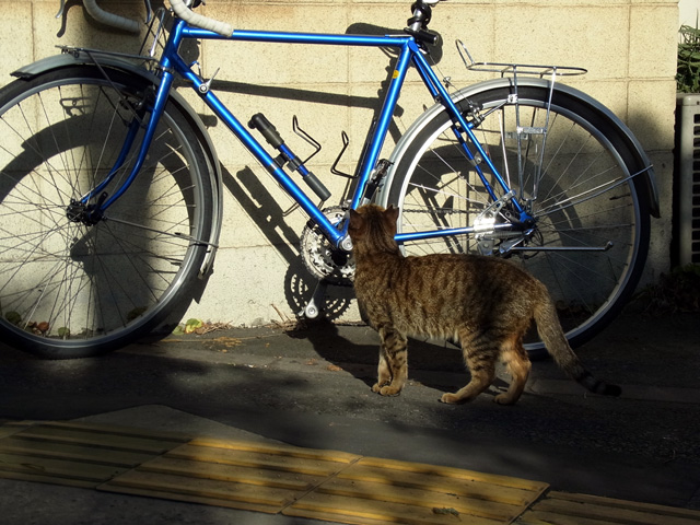 猫メカニックの点検その1