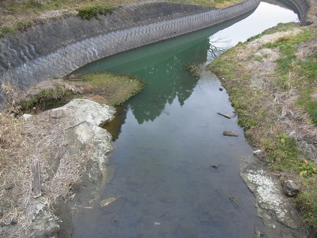 西門橋より瑞沢川を見る