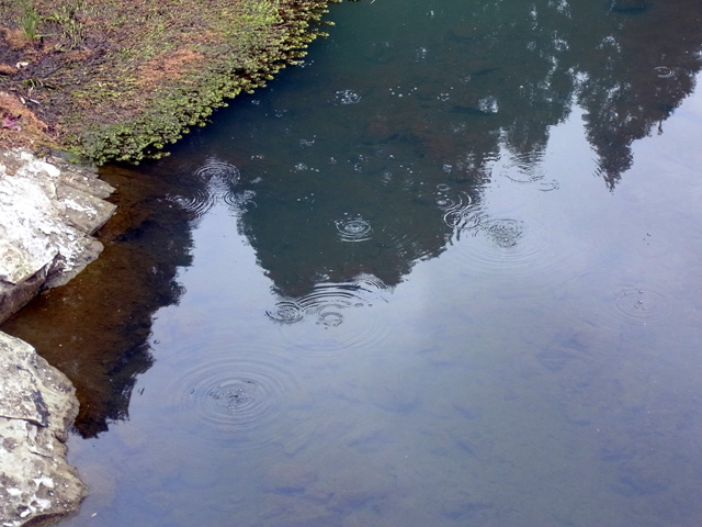 多数の泡を発見