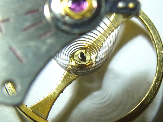 ヒゲ玉をいじれというのか！？