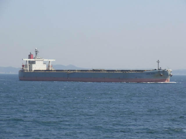川崎汽船 CAPE ROSA