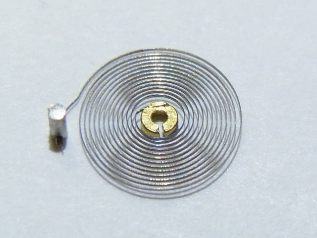 ヒゲゼンマイのアップ