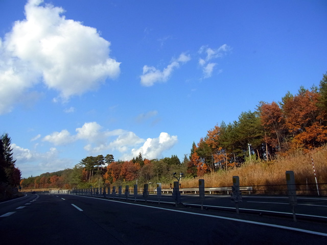 紅葉の東北道