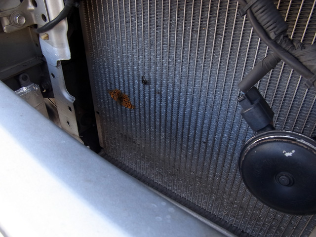 地方走行の痕跡