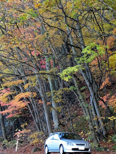 十和田湖周辺の紅葉