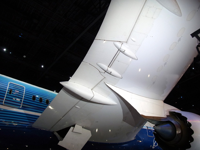 主翼下から眺める