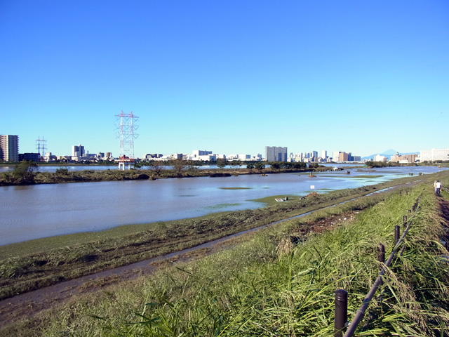 増水した多摩川の様子