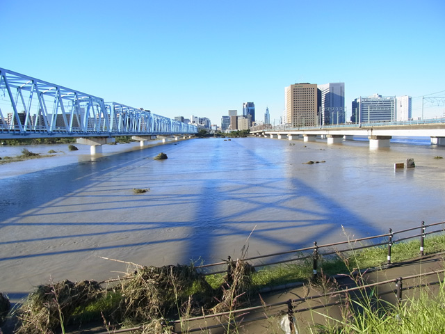 京急本線と東海道線の間より多摩川を望む