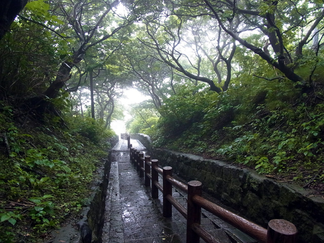 階段国道を降りる
