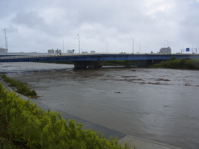 流木が浮く多摩川