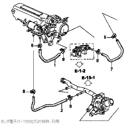 EACV周辺のウォーターホース