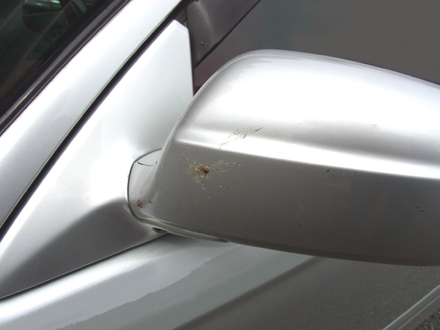 ミラーに衝突した虫の痕跡