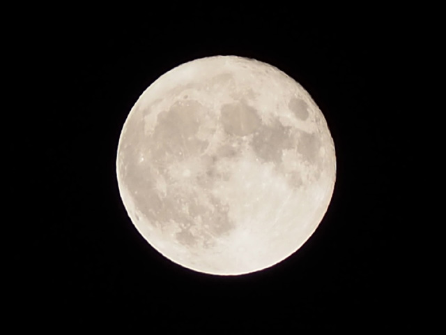 月にウサギはいたのか？