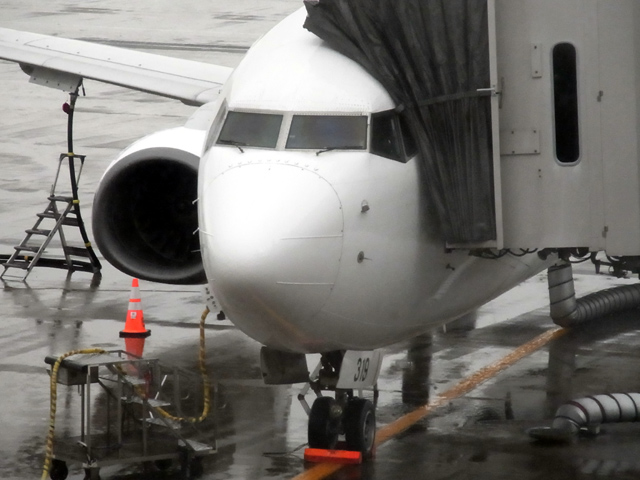 JL103便に投入されたJA319J