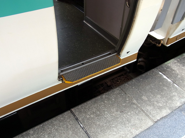 後付け感満載のドアステップ