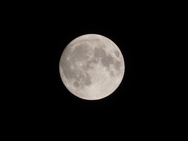 2024年9月17日の十五夜