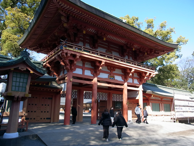 10年ぶりの氷川神社